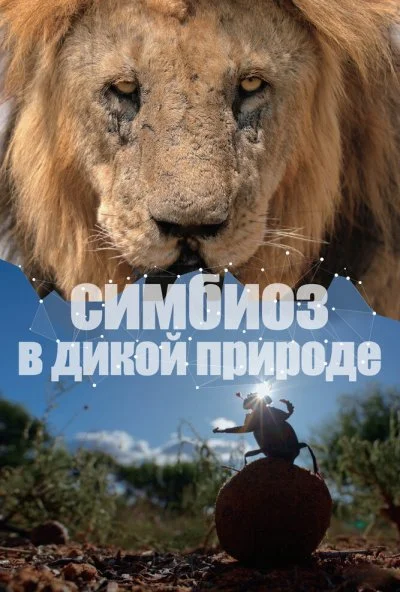 Симбиоз в дикой природе (2023) онлайн бесплатно